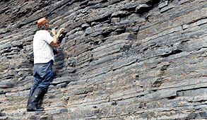 Carlton Elliot Brett  Professor of Geology  University of Cincinnati