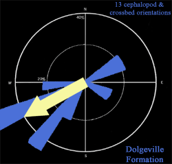 dolgeville paleo current