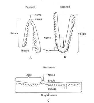 Variations in Form