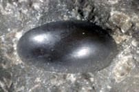 MCZ 145792: 8mm wide