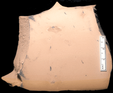 Image taken by Tom Whiteley  Sample # 10872; Layer Y