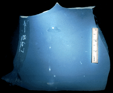 Image taken by Tom Whiteley  Sample # 10872; Layer Y