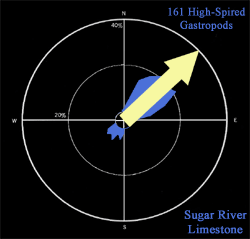 Sugar Paleo Current