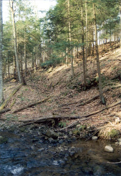 Site of the original Walcott-Rust Quarry. Gray's Brook is in the foreground.