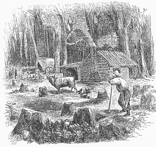 American Agriculturist