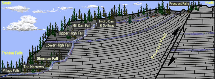 cross section