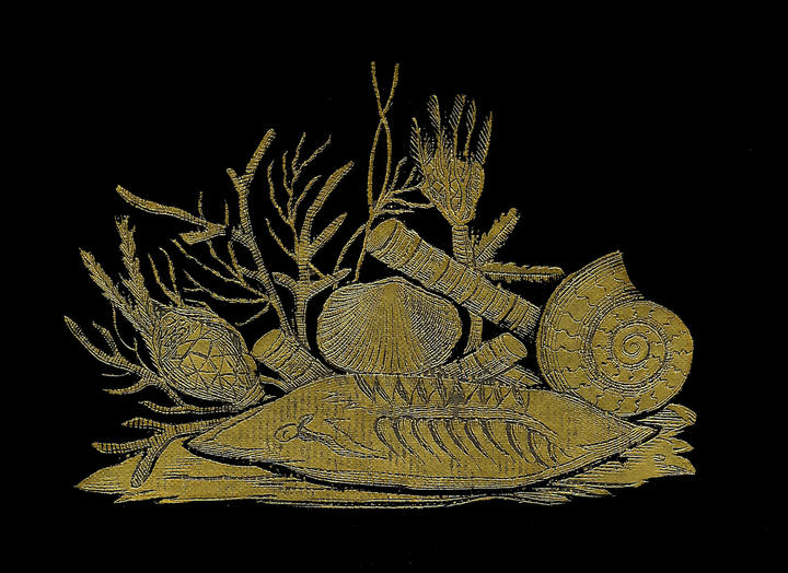 Cover Image from Hall's 1847 Volume