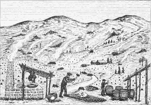 Hamilton etching