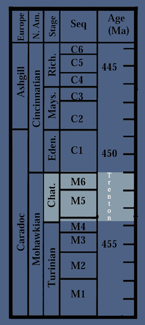 Image Modified after Holland and Patzkoskwy; 1996, 1998