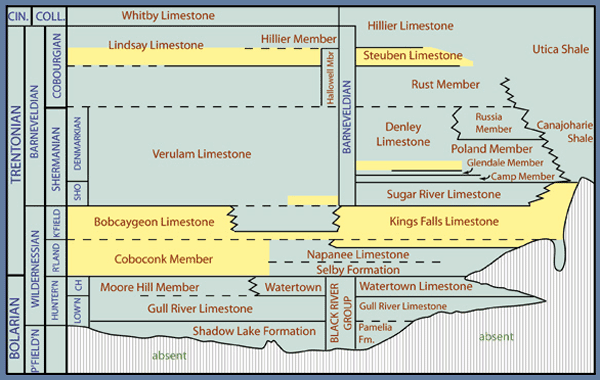 Time-Stratigraphic Series, Stages, and Sub-Stages of the Trenton Group  Image modified from Kay (1968)