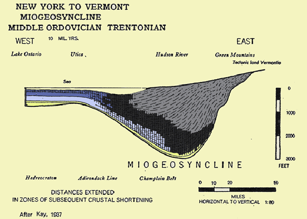 Image Modified from: Kay, 1951  