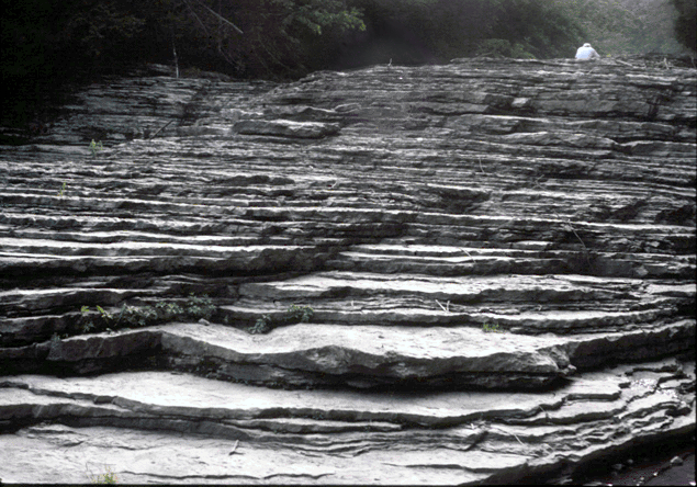 Photograph by Carlton Brett  Kings Falls Limestone  Whitaker Falls  Martinsburg, New York