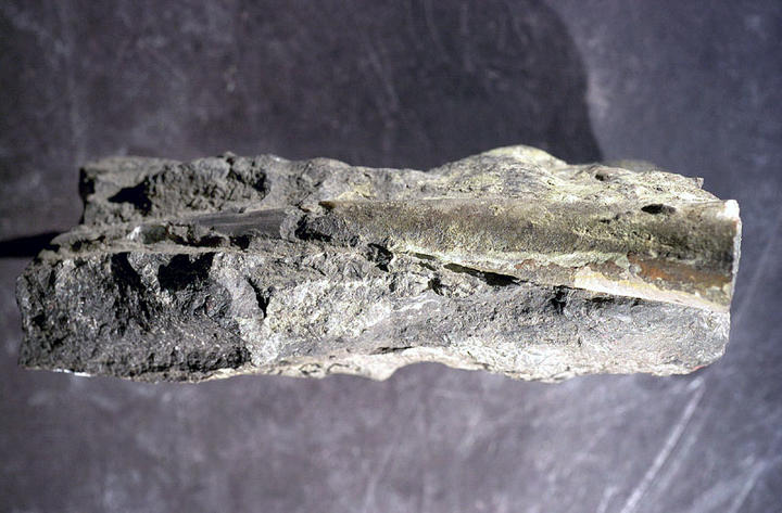 MCZ 129299: 86mm long