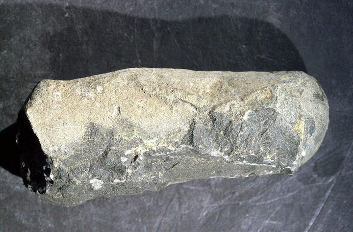 MCZ 130974: 73mm long