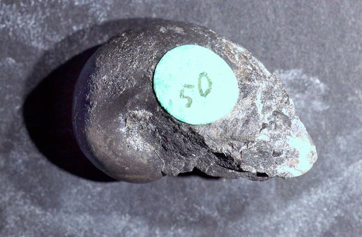 MCZ 145461: 23mm wide