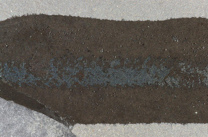 MCZ 146481: 3mm wide
