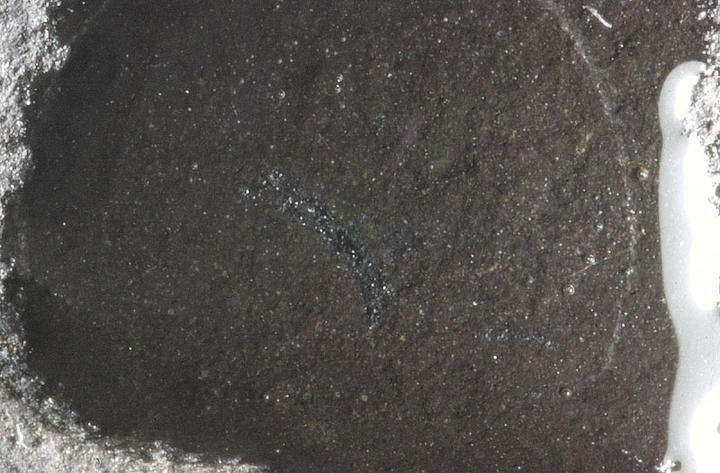 MCZ 146501: 1mm long