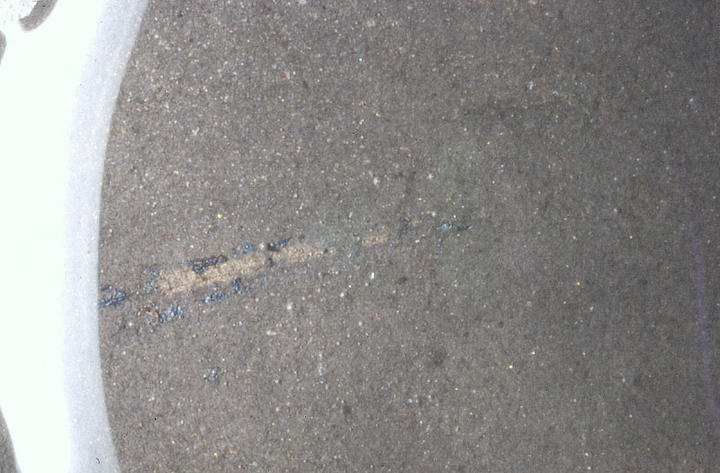 MCZ 146502: 1mm long