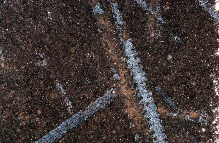MCZ 146505: 10mm long (rough estimate)