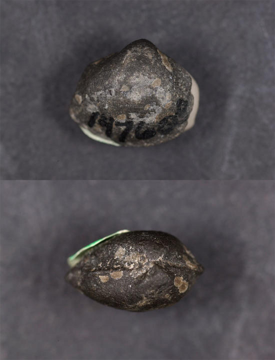 MCZ 147600: 12mm wide