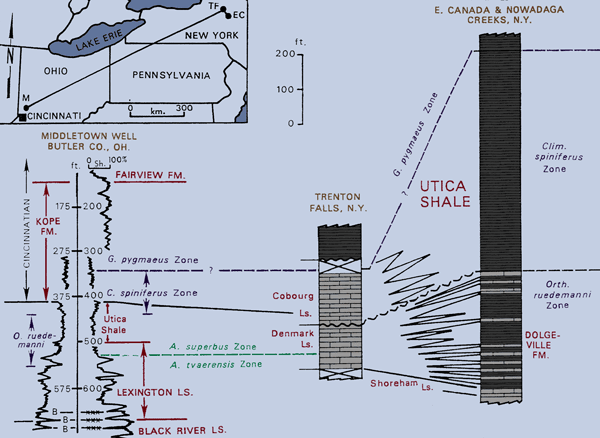 Biostratigraphic Relationships Between the Cincinnatian and Underlying Mohawkian Series Between New York State and Ohio  Modified after Mitchell and Bergström, 1991