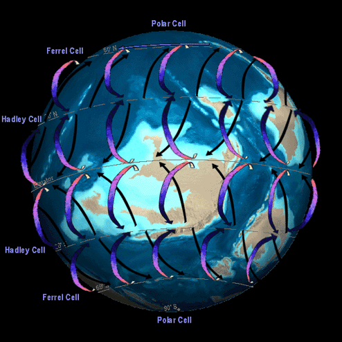 circulation