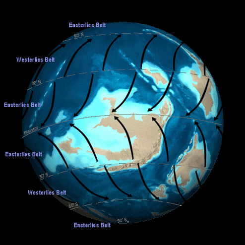 circulation