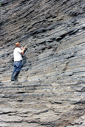 Carlton Brett (University of Cincinnati) Looking Close at Poland Limestone Member of the Denley Formation.  Photograph by: Tom Whiteley