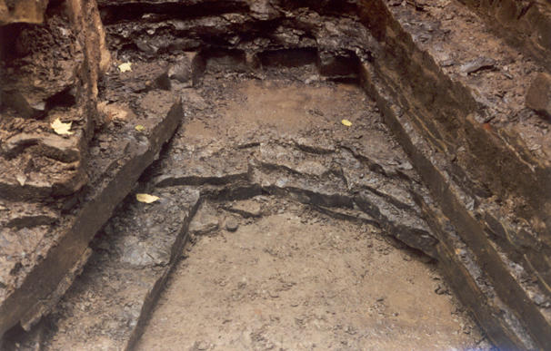 Beds of Ordovician fine-grained lime mudstone exposed at the quarry.