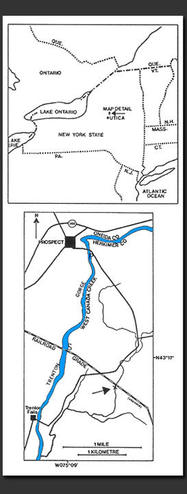 Maps