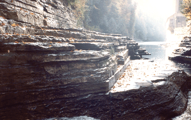 Rathbun Member at Trenton Falls  Photograph by Carlton Brett