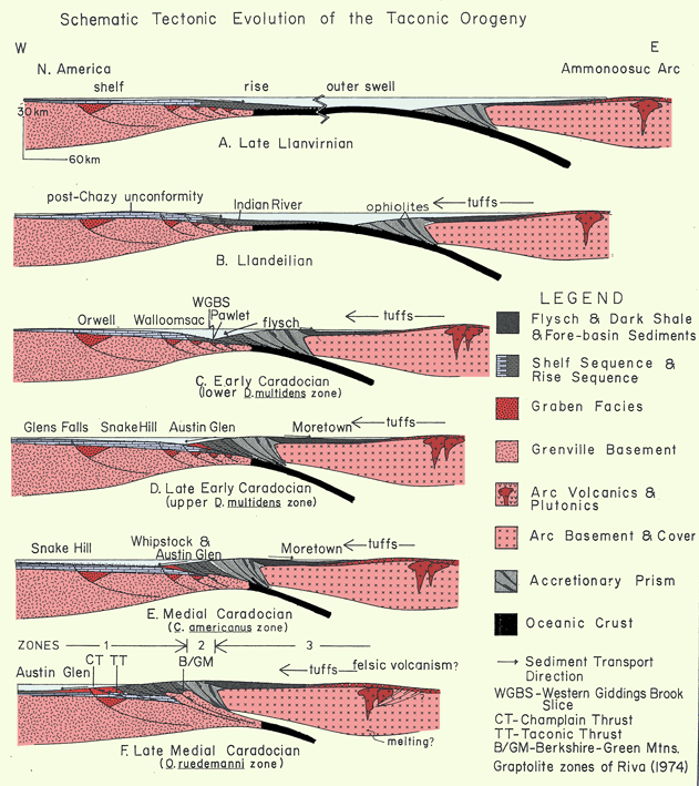 Image Modified from: Rowley & Kidd, 1981  