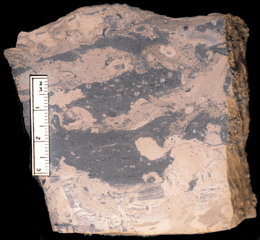 Image taken by Tom Whiteley  Sample # 10868; Layer S
