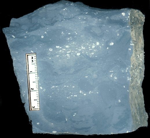 Image taken by Tom Whiteley  Sample # 10868; Layer S