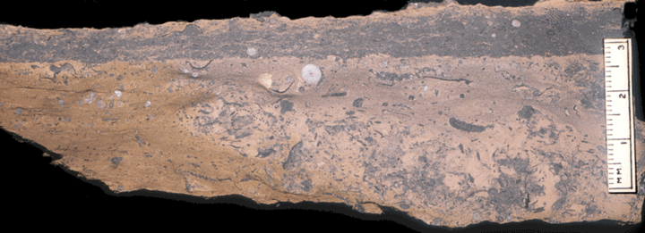 Image taken by Tom Whiteley  Sample # 10838; Layer 17