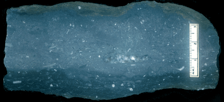 Image taken by Tom Whiteley  Sample # 10855; Layer 11