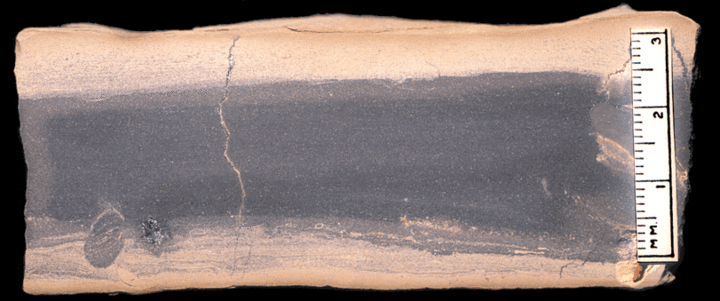 Image taken by Tom Whiteley  Sample # 10834; Layer 27