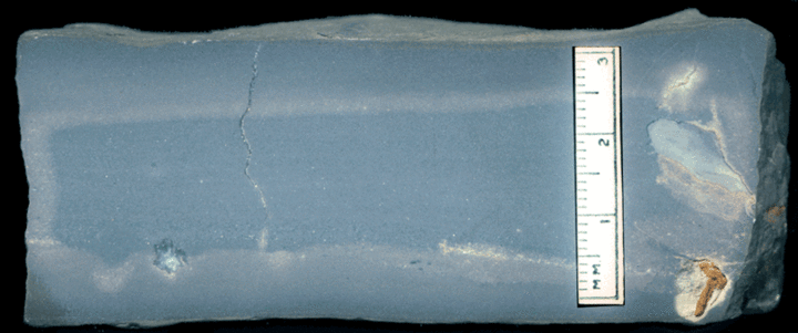 Image taken by Tom Whiteley  Sample # 10834; Layer 27