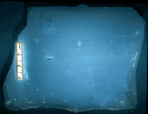 Image taken by Tom Whiteley  Sample # 10850; Layer 20