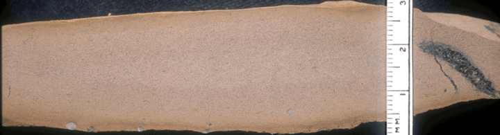 Image taken by Tom Whiteley  Sample # 10837; Layer 19