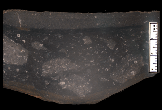 Image taken by Tom Whiteley  Sample # unnumbered; Layer 2