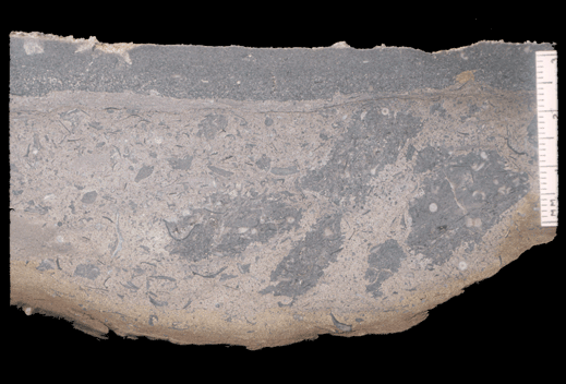 Image taken by Tom Whiteley  Sample # unnumbered; Layer 2