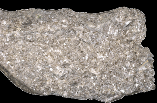 Steuben grainstone