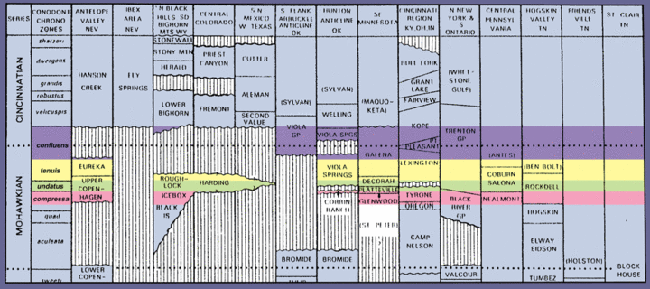 Conodont Biostratigraphic Correlations for the Upper Ordovician of the U.S.  Modified after Sweet, 1984
