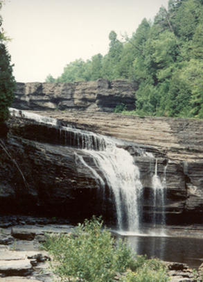View of Lower and Upper High Falls  Picture by Tom Whiteley