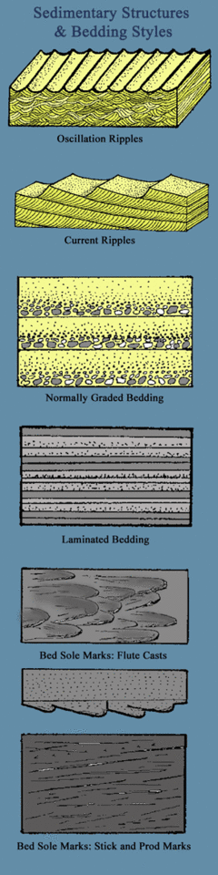 sedimentarystructures