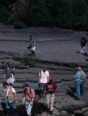 View of "the flats" above Sherman Falls.  Photograph by: Carlton E. Brett