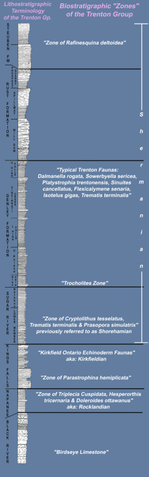 Litho- and Biostratigraphic Terminology for the Trenton Limestone