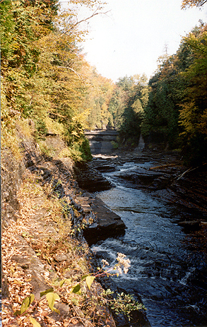 View Upstream from the Narrows toward Sherman Falls  Photograph by: Tom Whiteley